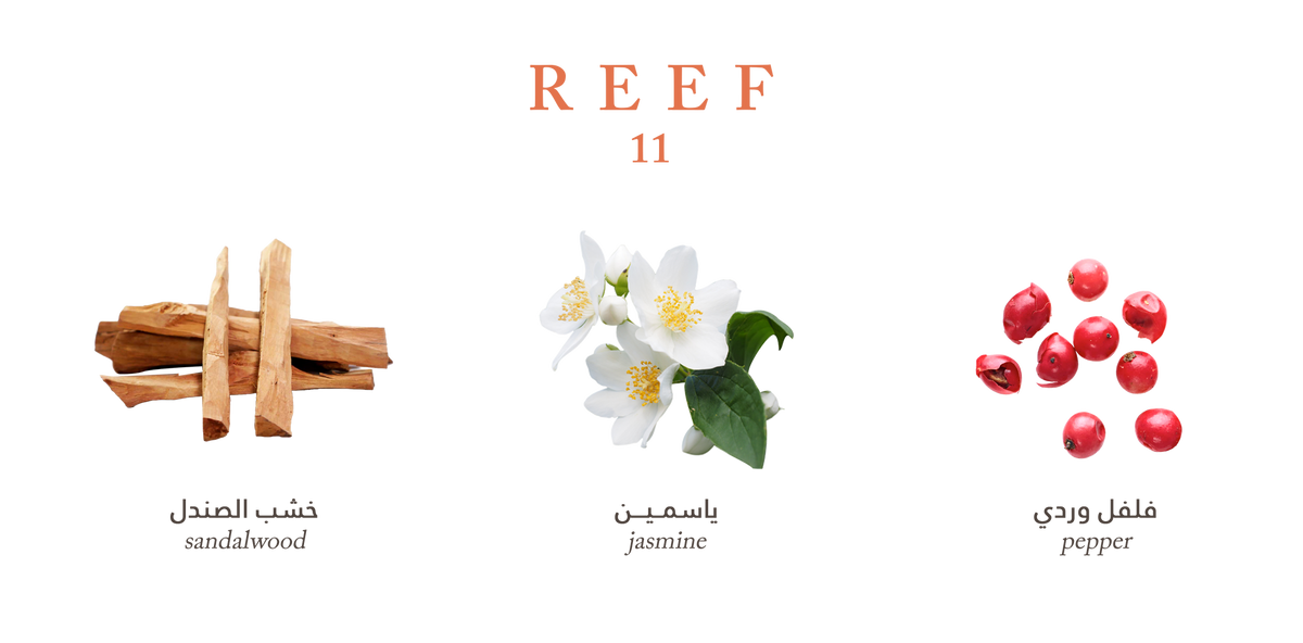 Reef 11 – Deep Sandalwood Sophistication - 100ml