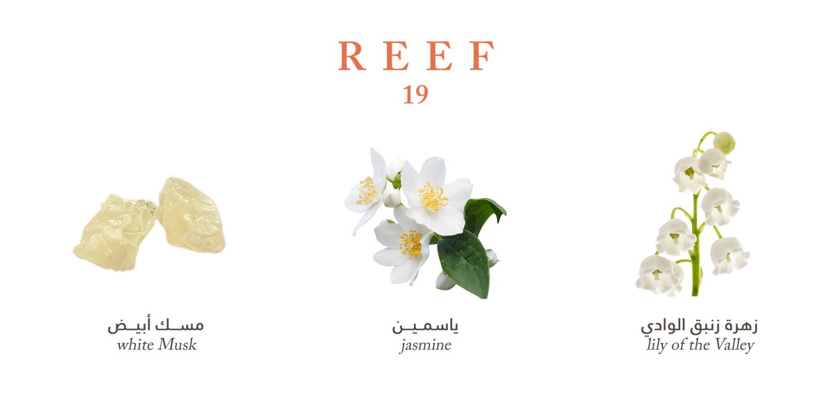 Reef 19 – Fresh Musk Elegance - 100ml