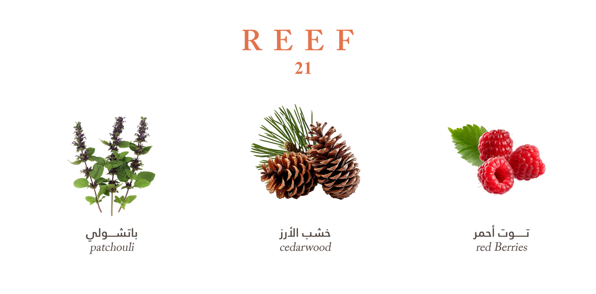 Reef 21 – Luxurious & Rich Cedarwood - 100ml