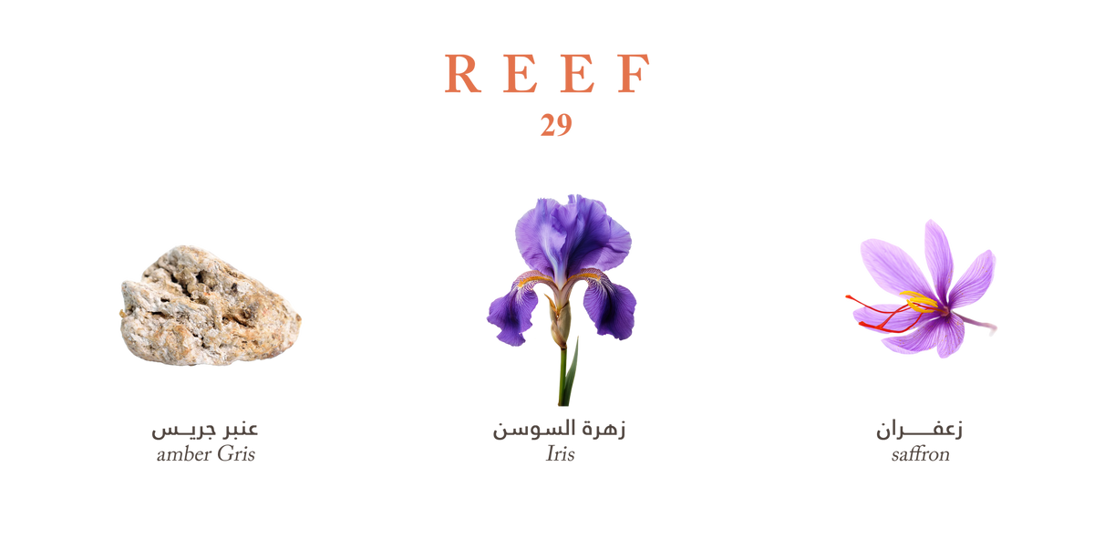 Reef 29 - Golden Saffron Veil -100ml