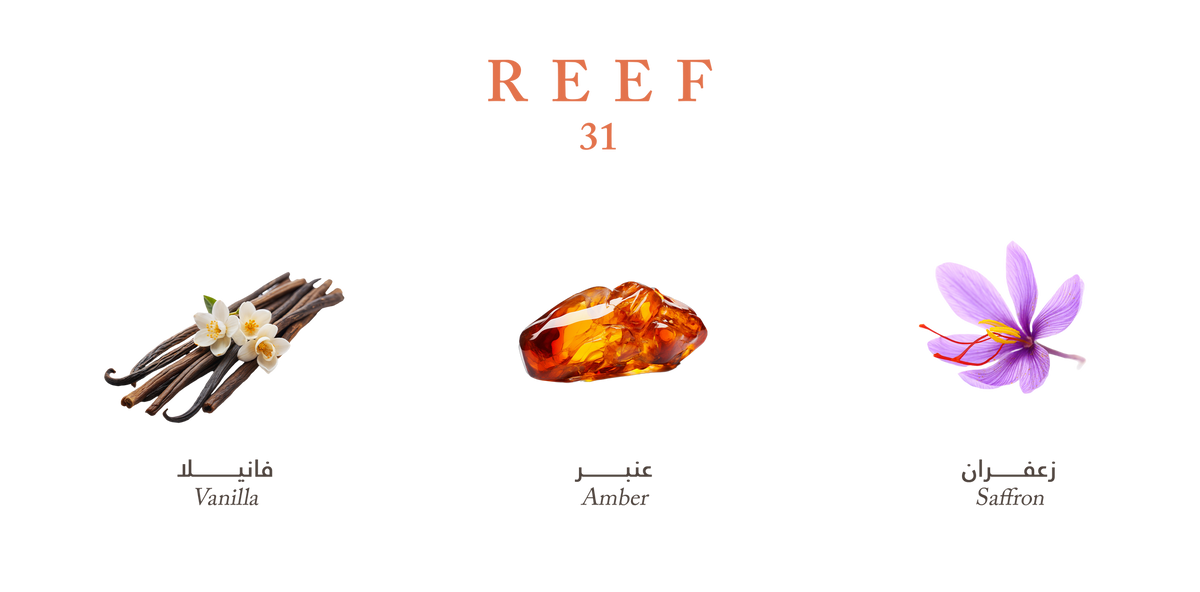 Reef 31 – Royal Amber Intensity - 100ml