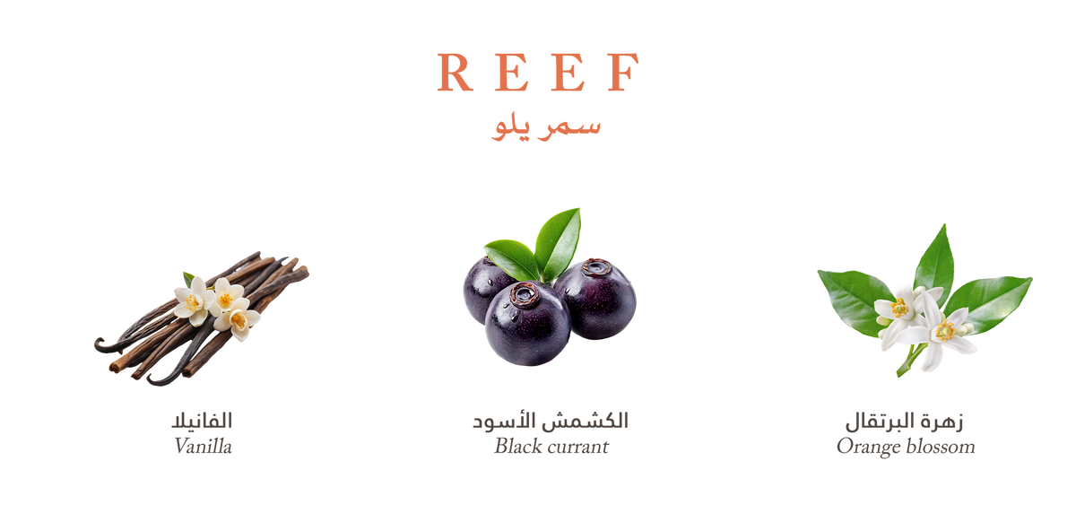 Reef Yellow – Velvet Vanilla Cradle - 100ml