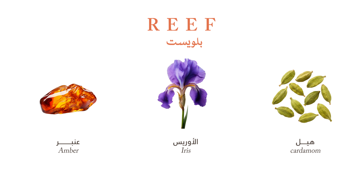 Reef Bluest – Golden Amber Touch - 200ml