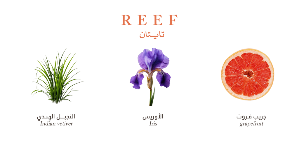 Reef Titan – Sweet Citrus Spark - 200ml