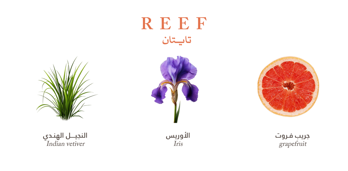 Reef Titan – Sweet Citrus Spark - 200ml
