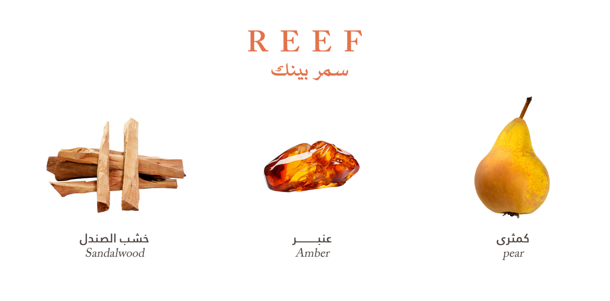 Reef Pink – Amber Silk Blend - 100ml